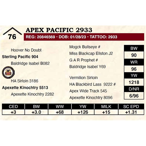 Apex Pacific 2933