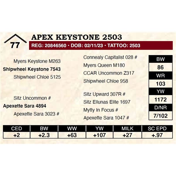 Apex Keystone 2503