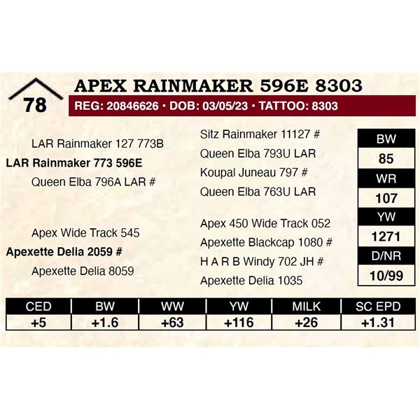 Apex Rainmaker 596E 8303