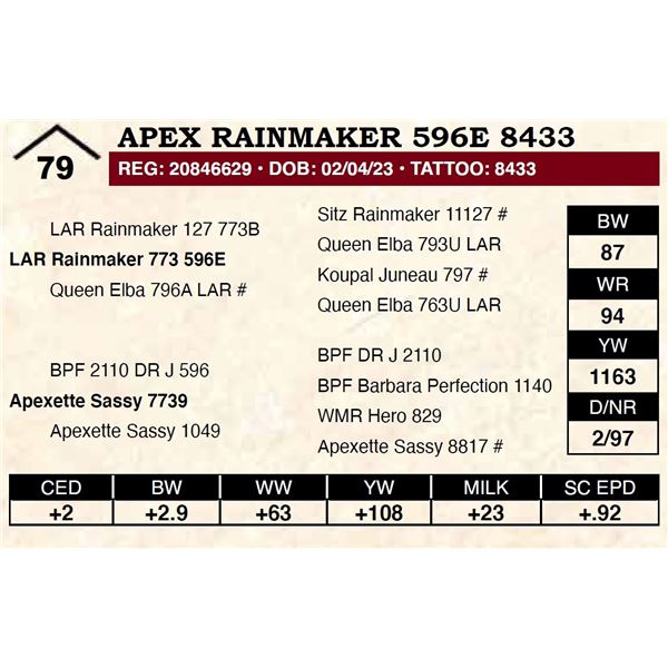 Apex Rainmaker 596E 8433