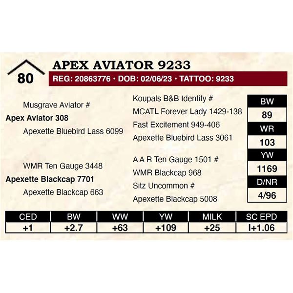 Apex Aviator 9233