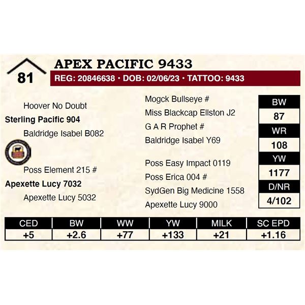 Apex Pacific 9433