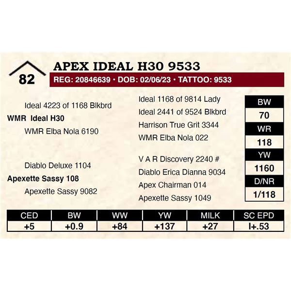 Apex Ideal H30 9533