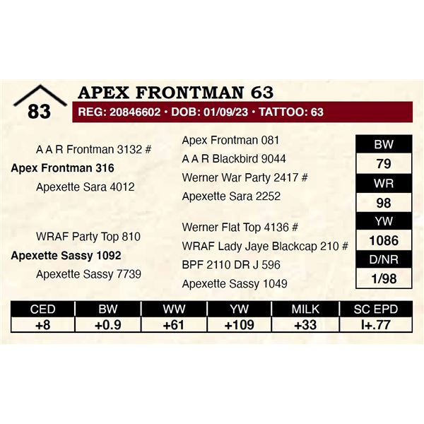 Apex Frontman 63