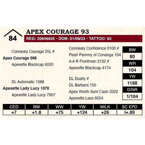 Apex Courage 93