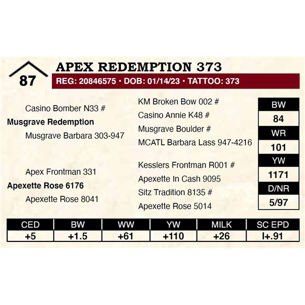 Apex Redemption 373