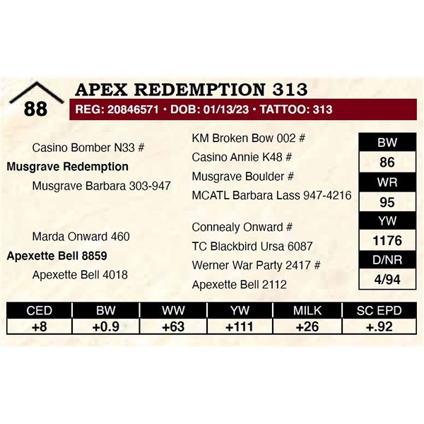 Apex Redemption 313