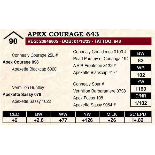 Apex Courage 643