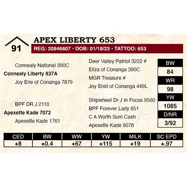 Apex Liberty 653