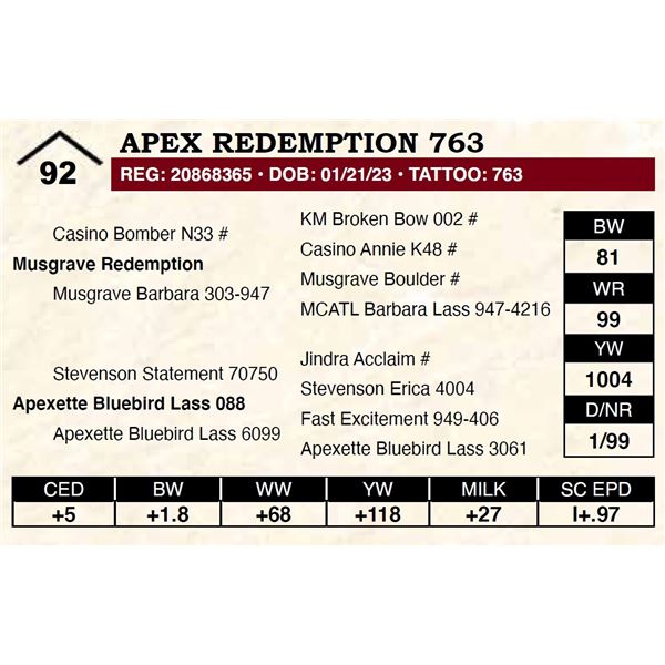 Apex Redemption 763