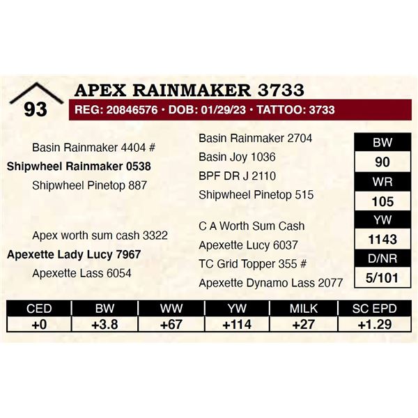 Apex Rainmaker 3733