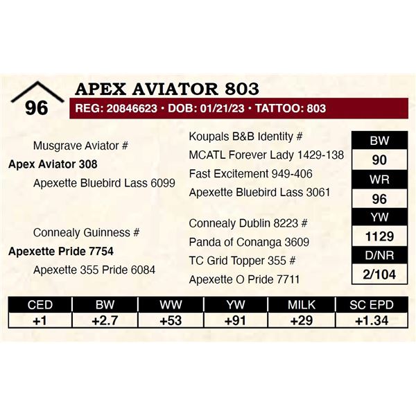 Apex Aviator 803