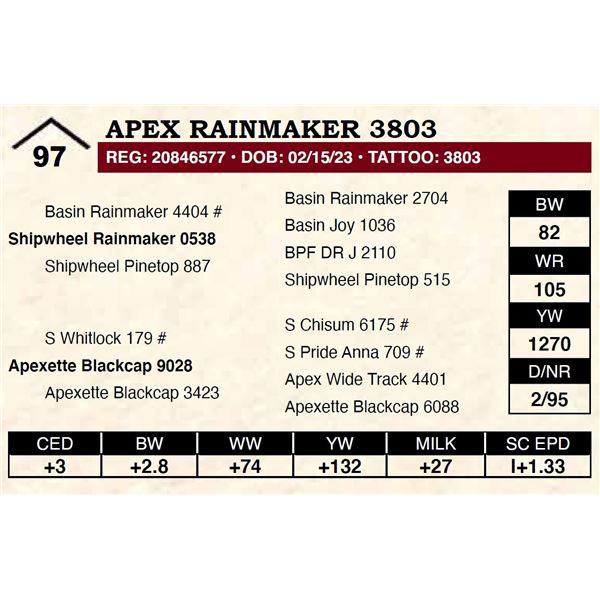 Apex Rainmaker 3803