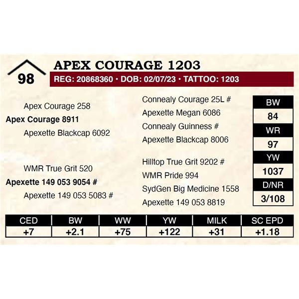 Apex Courage 1203
