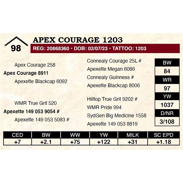 Apex Courage 1203