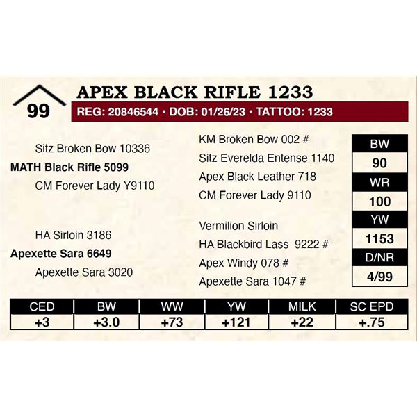 Apex Black Rifle 1233