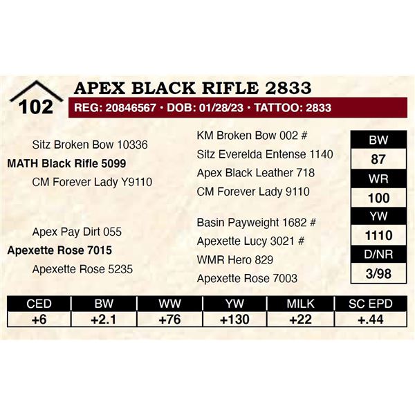 Apex Black Rifle 2833