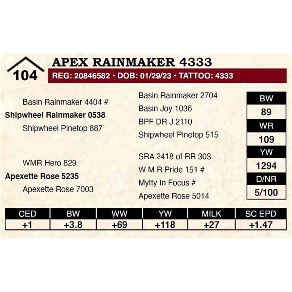 Apex Rainmaker 4333