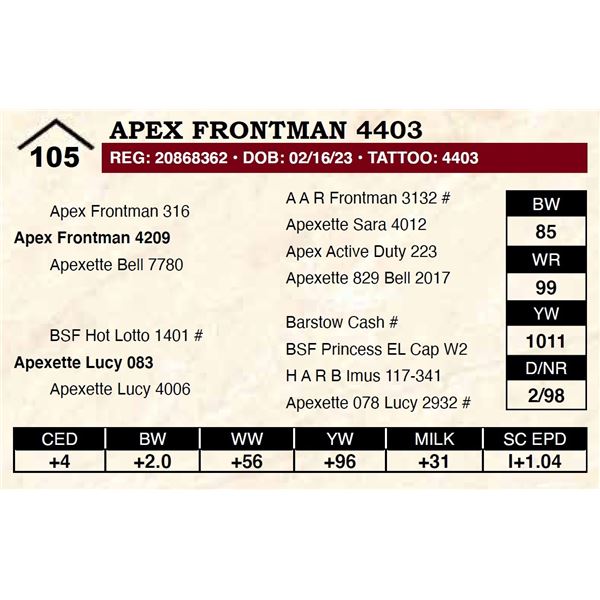 Apex Frontman 4403