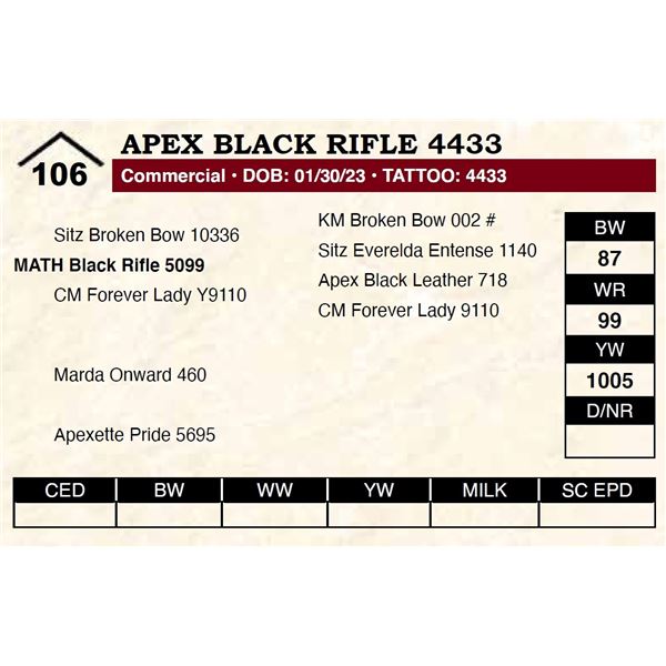 Apex Black Rifle 4433