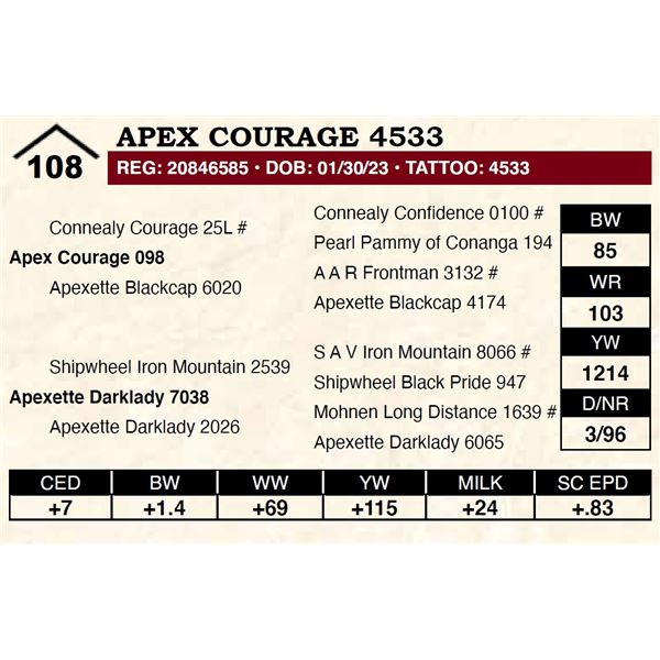 Apex Courage 4533