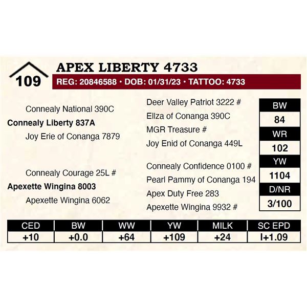 Apex Liberty 4733