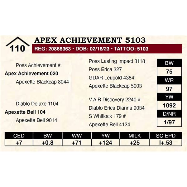 Apex Achievement 5103