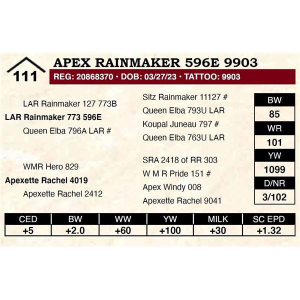 Apex Rainmaker 596E 9903