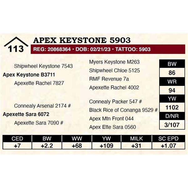 Apex Keystone 5903