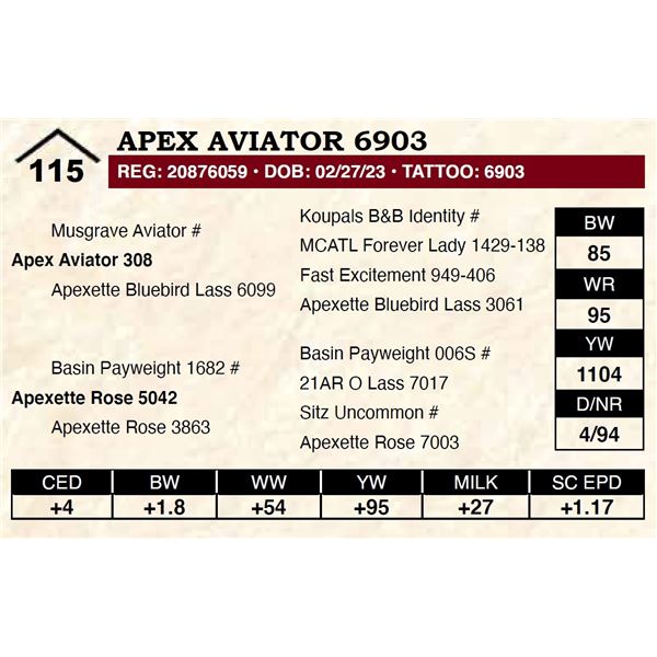 Apex Aviator 6903