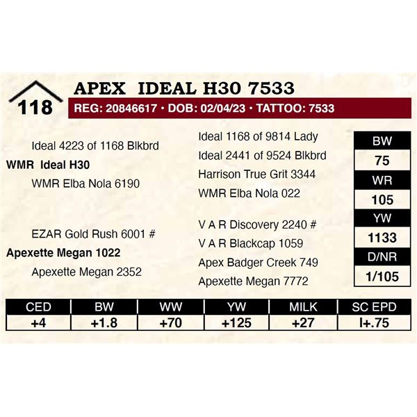 Apex Ideal H30 7533