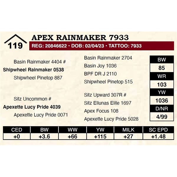 Apex Rainmaker 7933