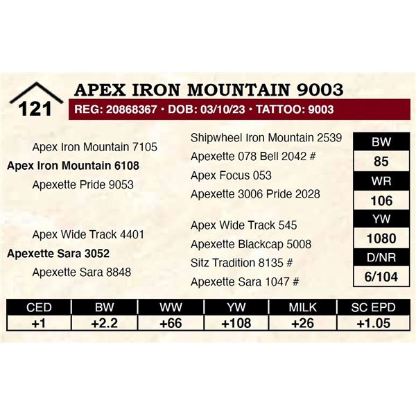 Apex Iron Mountain 9003