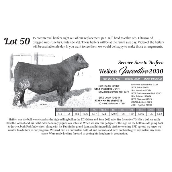 15 - Commercial Bred Heifers