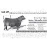 Image 1 : 15 - Commercial Bred Heifers