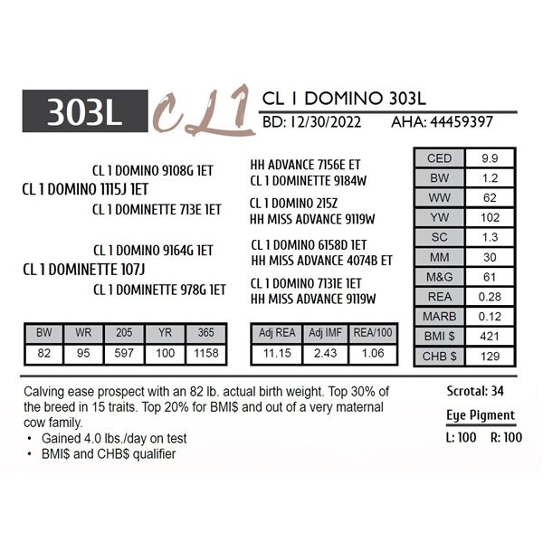 CL 1 DOMINO 303L