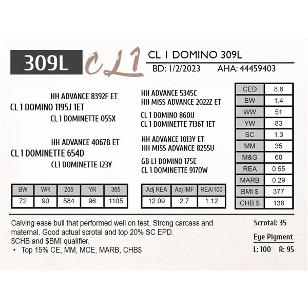 CL 1 DOMINO 309L