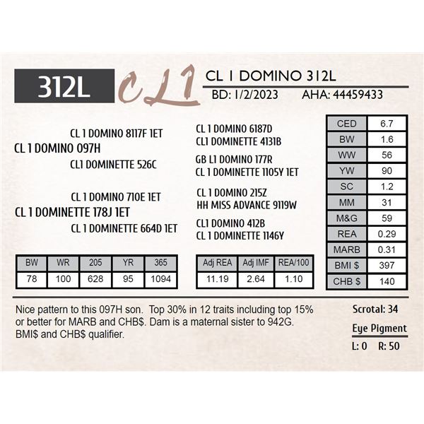 CL 1 DOMINO 312L