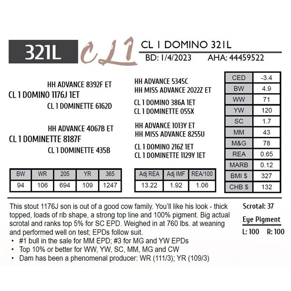 CL 1 DOMINO 321L