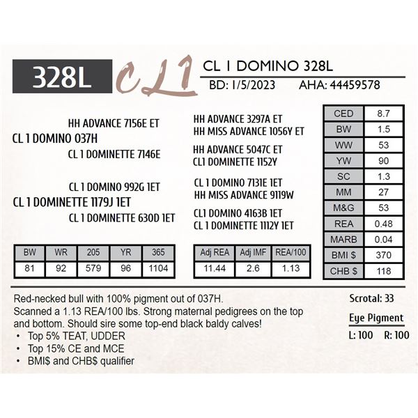 CL 1 DOMINO 328L