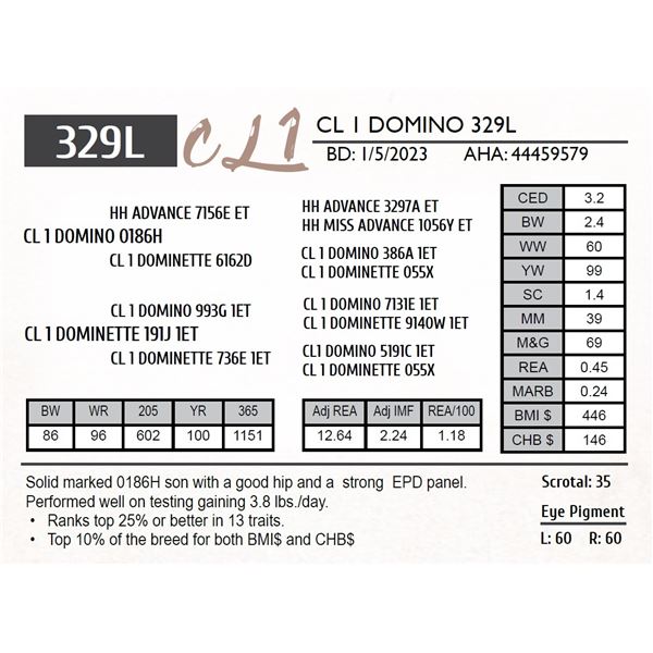 CL 1 DOMINO 329L