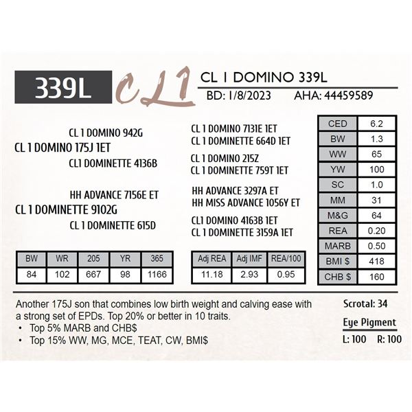 CL 1 DOMINO 339L