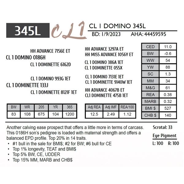 CL 1 DOMINO 345L