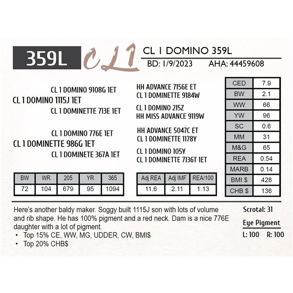 CL 1 DOMINO 359L