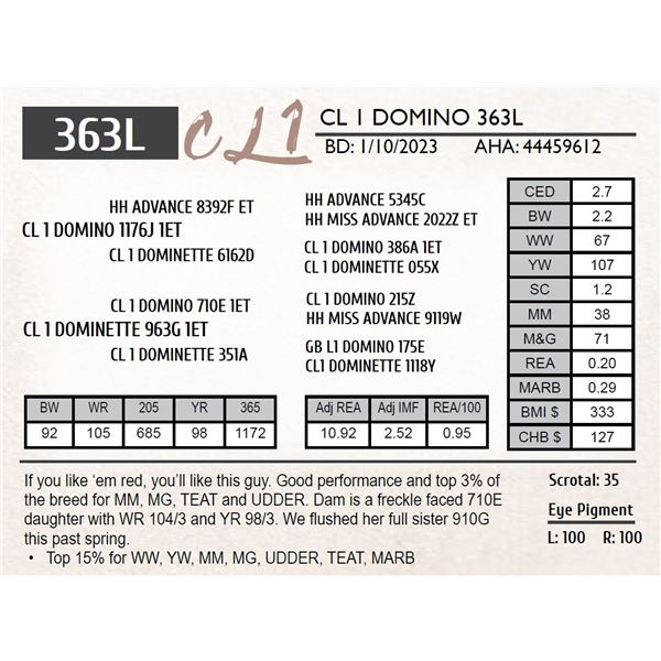 CL 1 DOMINO 363L