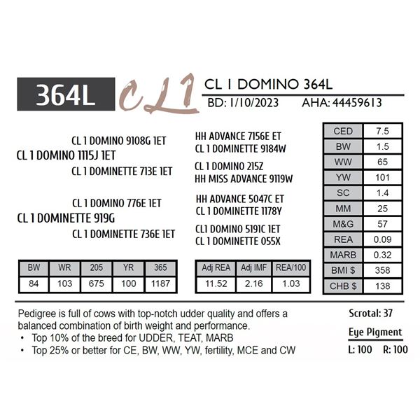 CL 1 DOMINO 364L