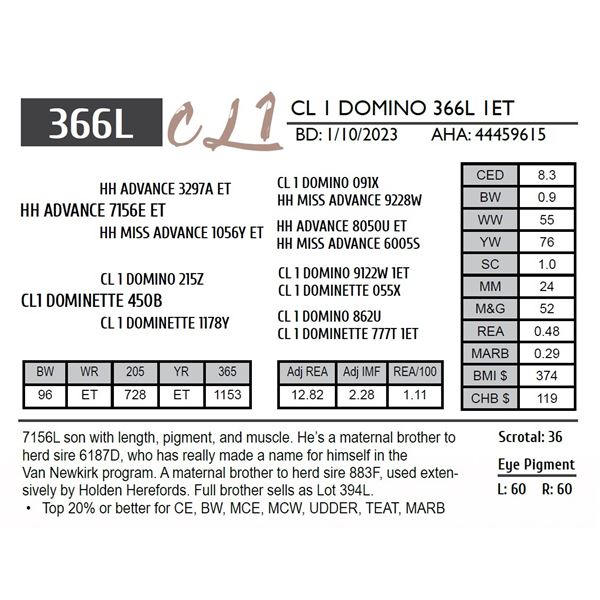 CL 1 DOMINO 366L 1ET