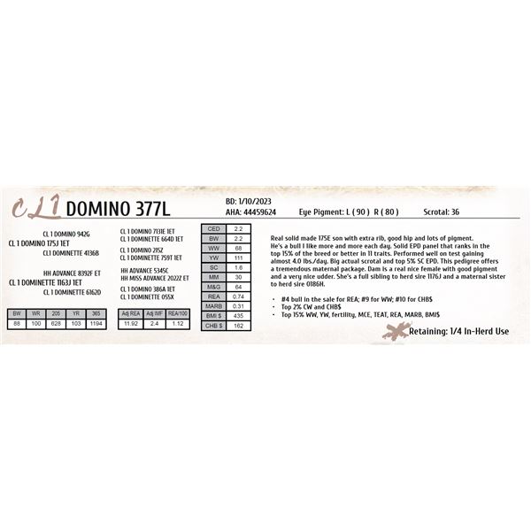 CL 1 DOMINO 377L