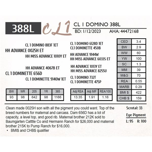 CL 1 DOMINO 388L