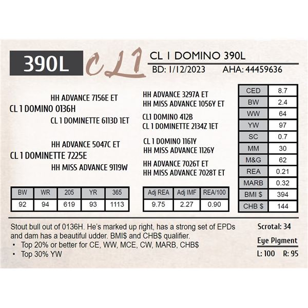 CL 1 DOMINO 390L